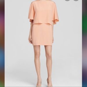TIBI Blush Silk Cape Dress